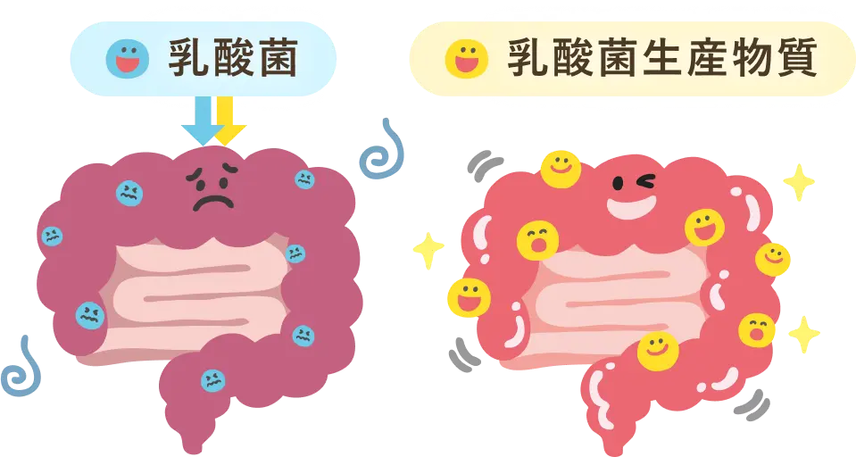 乳酸菌と乳酸菌生産物質…なにが違う？？？