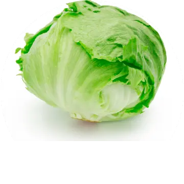 食物繊維