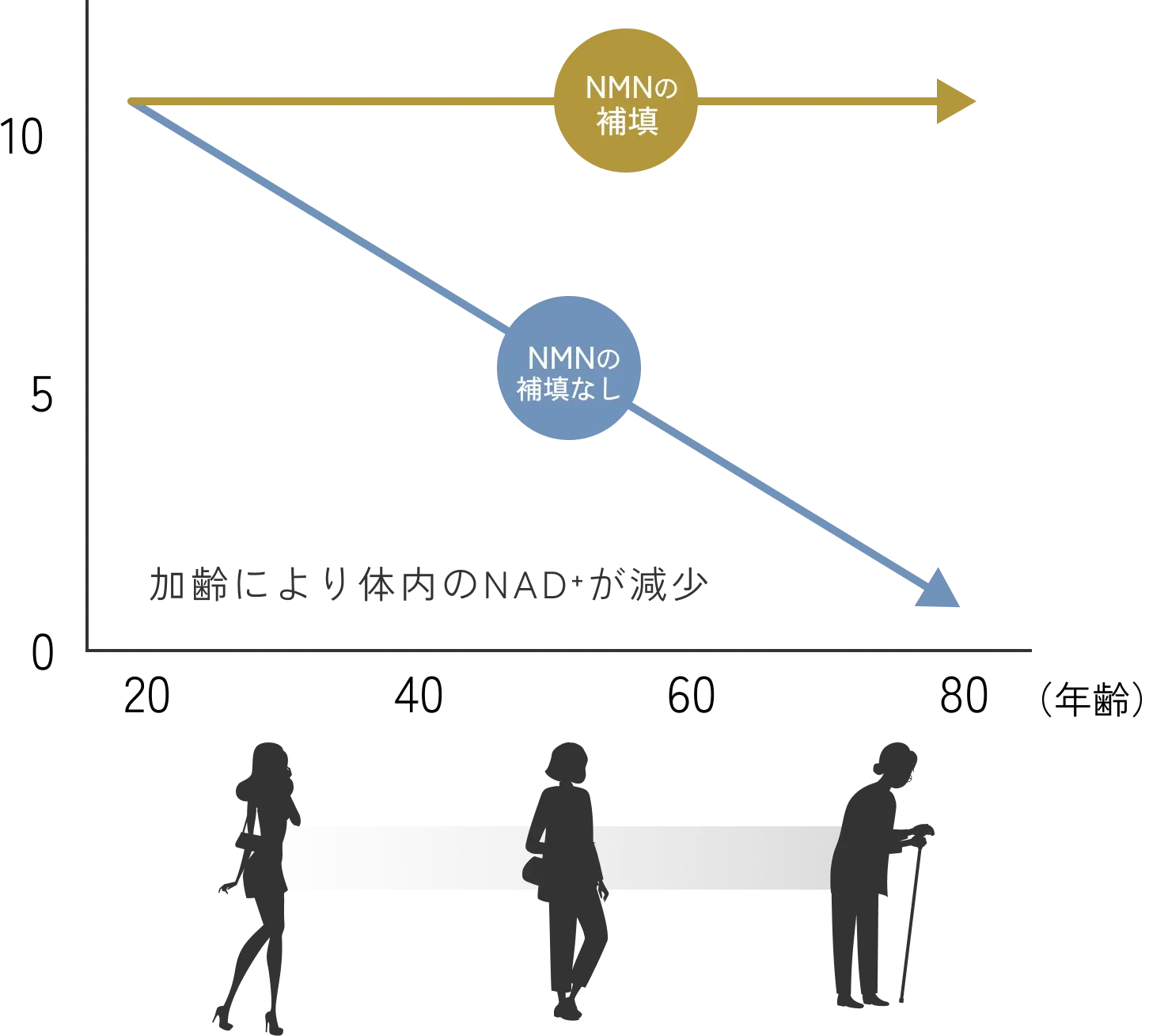 サーチュイン遺伝子を元気にする方法はないの？